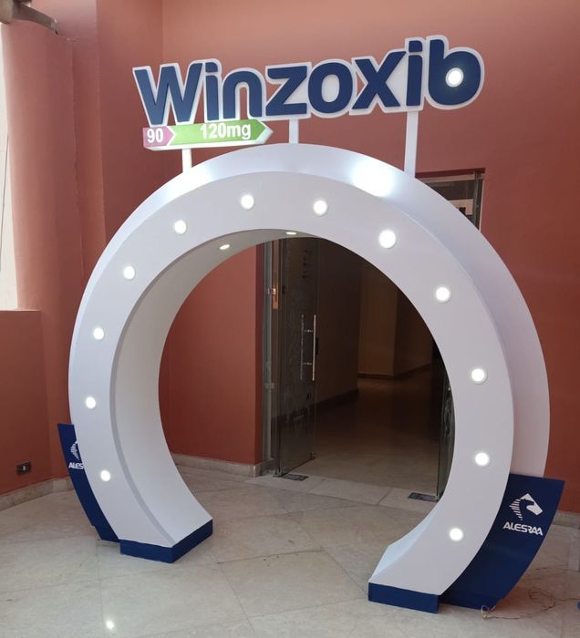 Decoration &mdash; Top-Tech event production, photo 8